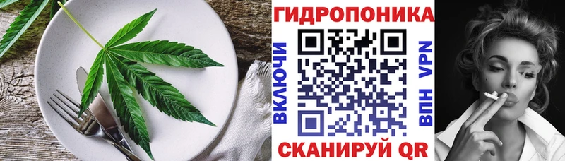 Купить закладки Кириллов Canna-Cookies марихуана