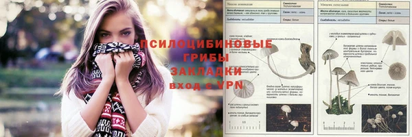 спиды Алзамай