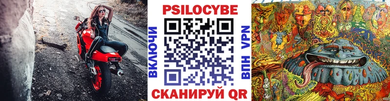 Купить где  Кириллов  Псилоцибиновые грибы GOLDEN TEACHER 