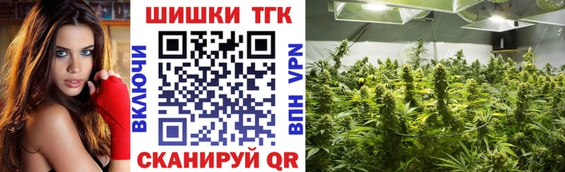 Купить  Кириллов  Бошки Шишки ГИДРОПОН 
